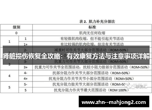 肾脏损伤恢复全攻略：有效康复方法与注意事项详解